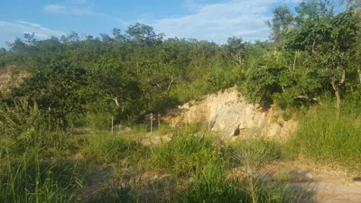Terreno à venda no bairro Bonanza (ref. 112)