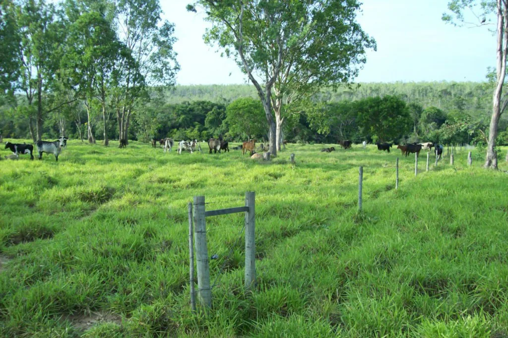 Imóvel rural à venda no bairro Cachoeira do choro (ref. 147)