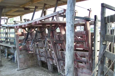 Imóvel rural à venda no bairro Cachoeira do choro (ref. 147)
