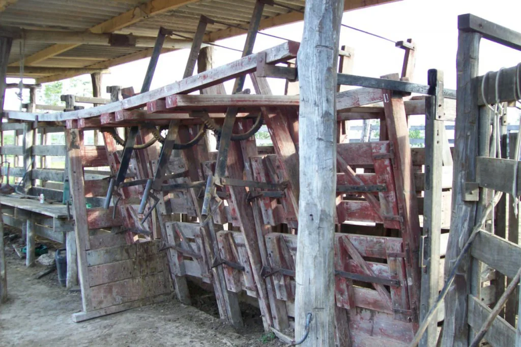 Imóvel rural à venda no bairro Cachoeira do choro (ref. 147)