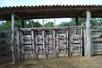 Imóvel rural à venda no bairro Cachoeira do choro (ref. 147)
