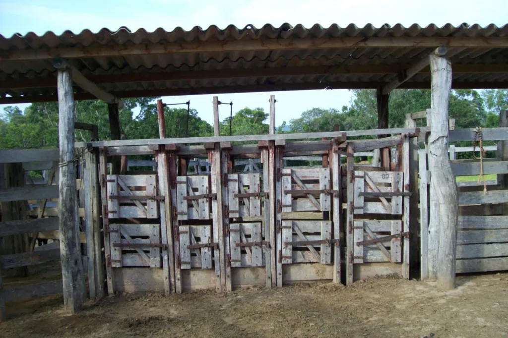 Imóvel rural à venda no bairro Cachoeira do choro (ref. 147)