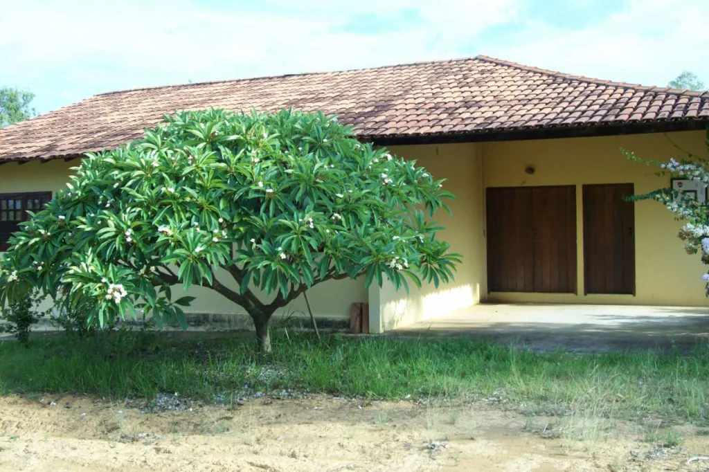Imóvel rural à venda no bairro Cachoeira do choro (ref. 147)