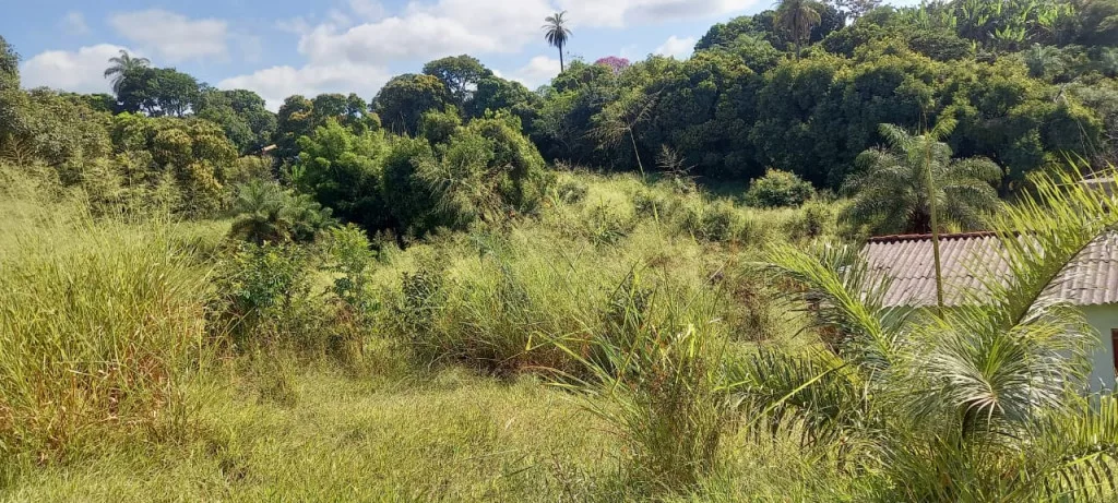 Terreno à venda, 3.497,50 m2 por R$1.300,000,00 - Idulipê - Santa Luzia/MG