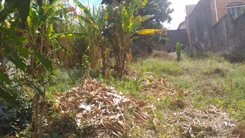 Loteamento - Bairro Adeodato - 360m²