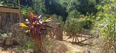 Fazendinha à venda, 20 hectares, por R$1.200.000,00 - Caeté- MG