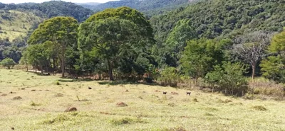 Fazendinha à venda, 20 hectares, por R$1.200.000,00 - Caeté- MG