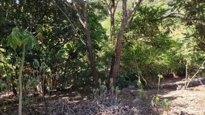 Sítio Exclusivo com 6.000m² e Lazer Completo em Bonanza, Santa Luzia
